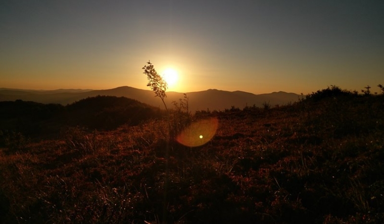 Krywa Chata dom drewniany Bieszczady