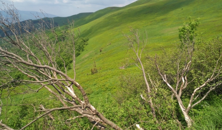 Krywa Chata dom drewniany Bieszczady