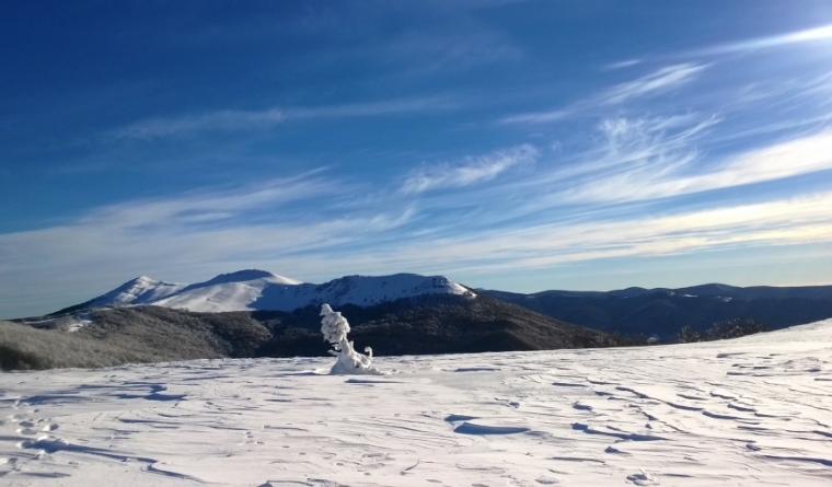 Krywa Chata dom drewniany Bieszczady