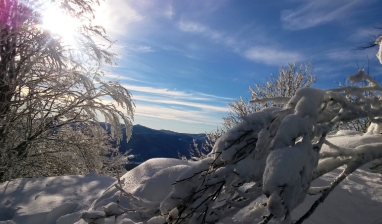 Krywa Chata dom drewniany Bieszczady