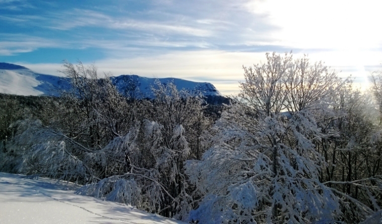 Krywa Chata dom drewniany Bieszczady