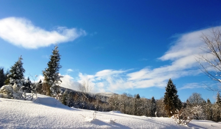 Krywa Chata dom drewniany Bieszczady