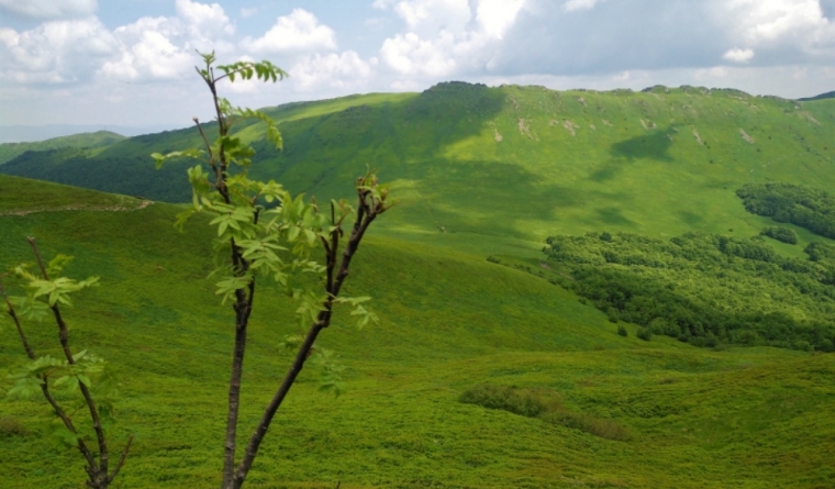 Krywa Chata dom drewniany Bieszczady