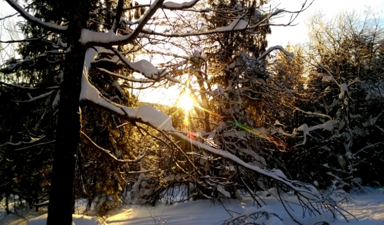 Krywa Chata dom drewniany Bieszczady