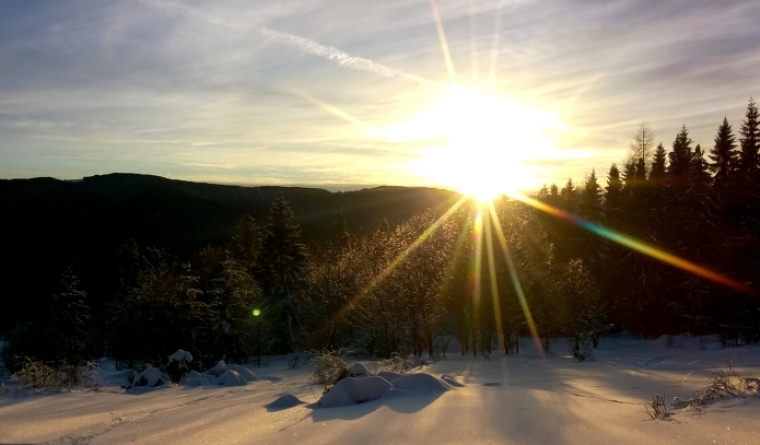 Krywa Chata dom drewniany Bieszczady